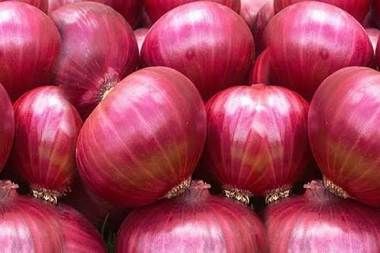 
Following a discussion with the Trade Minister, big onion importers agreed to provide their stocks at a price between Rs. 450 and Rs. 500.


